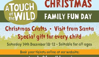 Christmas Family Fun Day