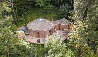 Wood-cladded treehouse sitting amongst the tree canopy 