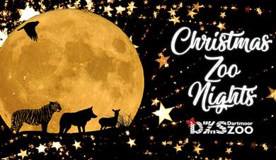 Christmas Zoo Nights