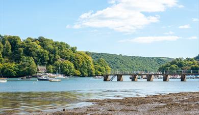 Dittisham - River Dart