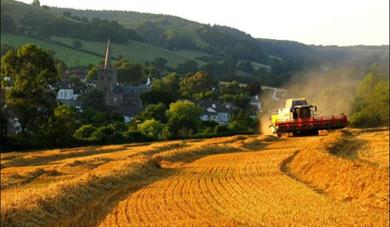 East Devon AONBAONB