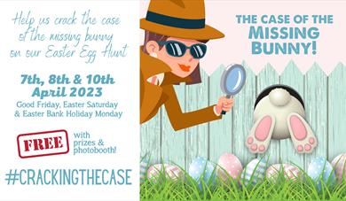 The Case of The Missing Bunny at House of Marbles Easter 2023