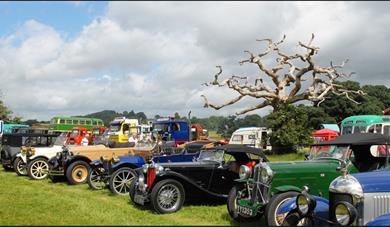 Powderham Castle - Historic Vehicle Gathering