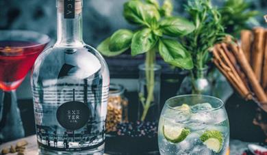 Exeter Gin