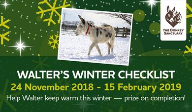 Help Walter keep warm this winter