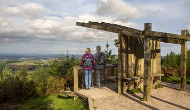 Haldon Forest Park