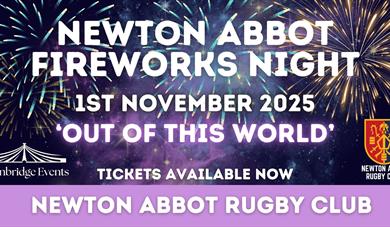 Newton Abbot Firework Night