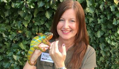 Frazoo Chameleon