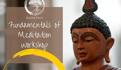 Fundamentals of Meditation Workshop