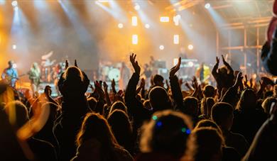 Gone Wild Festival Devon