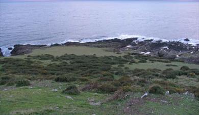 Gara Point