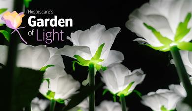 Garden of Light