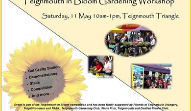 Teignmouth in Bloom Gardening Workshop