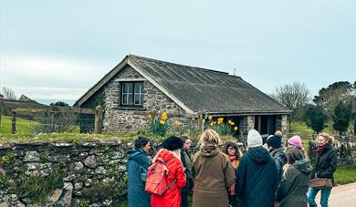 foraging for apples
