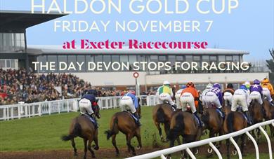 The Haldon Gold Cup at Exeter Racecourse