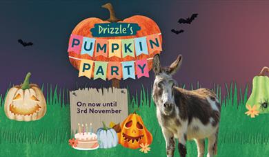 Drizzle the donkey with illustrated halloween items