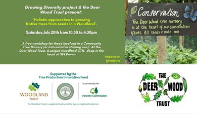 Holistic approaches to growing Native trees from seeds in a woodland