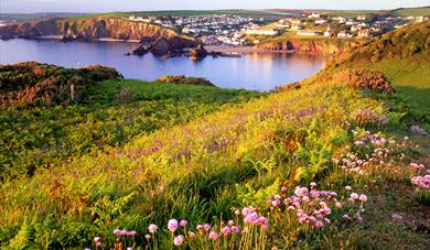 Hope Cove Beach