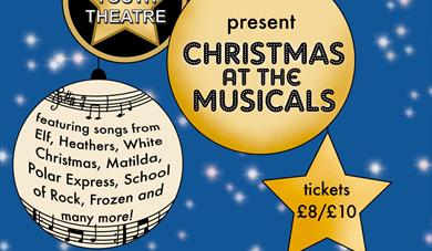 Christmas At The Musicals