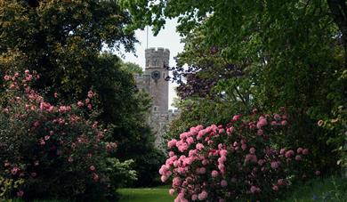 Open Gardens in aid of CHSW