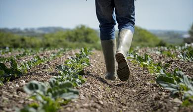 Field to Fork Farm Tour