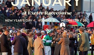 January Racing at Exeter Racecourse