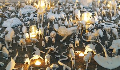 Exhibitions by Sarah Strachan