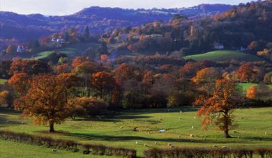 Lustleigh, Dartmoor - landscape views