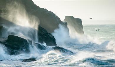 Lost to the Sea by Lisa Woollett