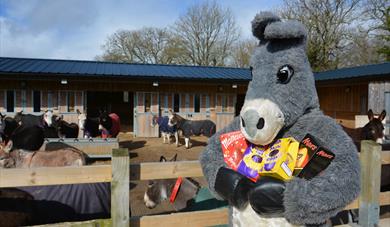 Lucky the Easter donkey joins in the Easter Holiday Hunt