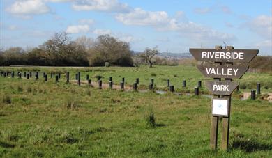 Ludwell Valley Park Trail