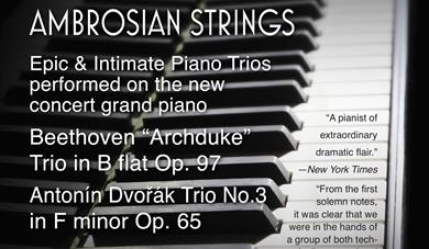 Daniele Rinaldo & Ambrosian Strings live classical music event in St Marychurch Torquay