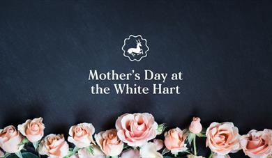 Mother's Day_Dartington Estate