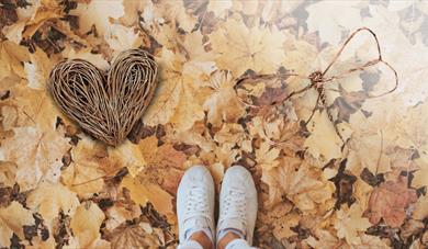 Weave a Willow Heart or Dragonfly at House of Marbles This Autumn