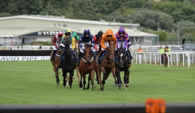 Racing at Newton Abbot Racecourse