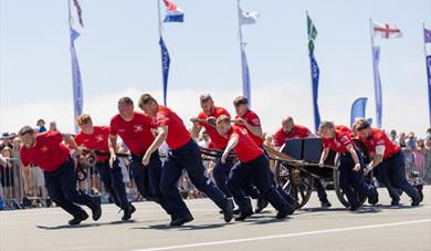 Field Gun Demonstration at Armed Forces Day