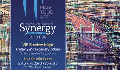 'Synergy' Exhibtion by Marc Todd