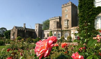 Powderham Castle gardens in summer