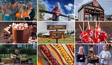 Pumpkin Nights at Pennywell Farm!