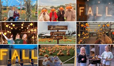 Pumpkin Nights at Pennywell Farm!