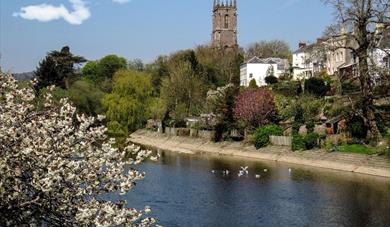 The River Exe