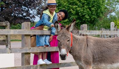 The Donkey Sanctuary