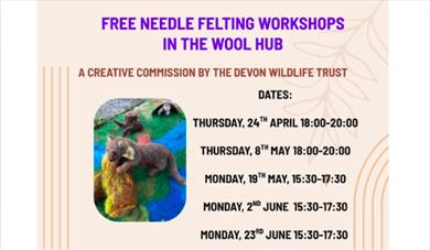 May Programme in The Wool Hub