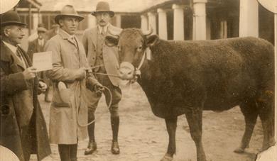 Seeds of Change: Farming in Devon in the 1920s
