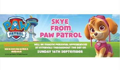 Skye from Paw Patrol at Pennywell Farm
