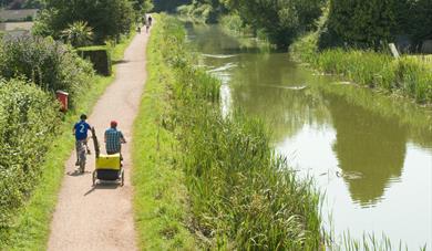 The Canal in Tiverton