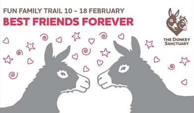 Best Friends Forever Trail