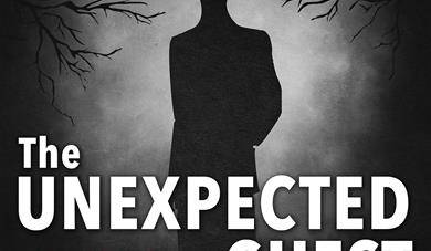 The Unexpected Guest