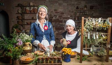 Tudor Herbe Wives