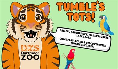 Tumble's Toddlers
